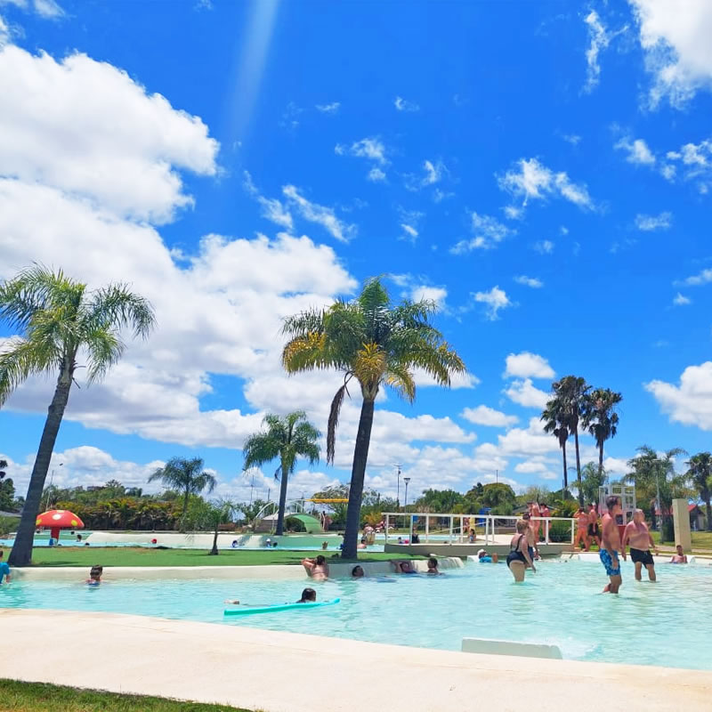 FEDERACION